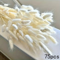 Natural Pampas Grass Bouquet